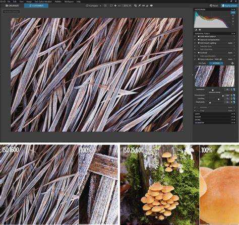 5 Best Noise Reduction Software For Photography In 2024