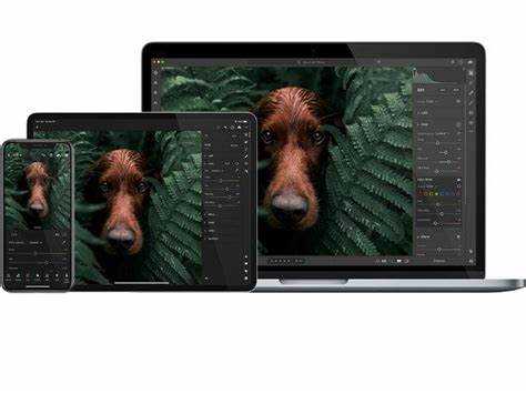 Key Features and Tools in Adobe Lightroom