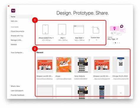 How Much Do You Know About Adobe XD PNG Export Feature