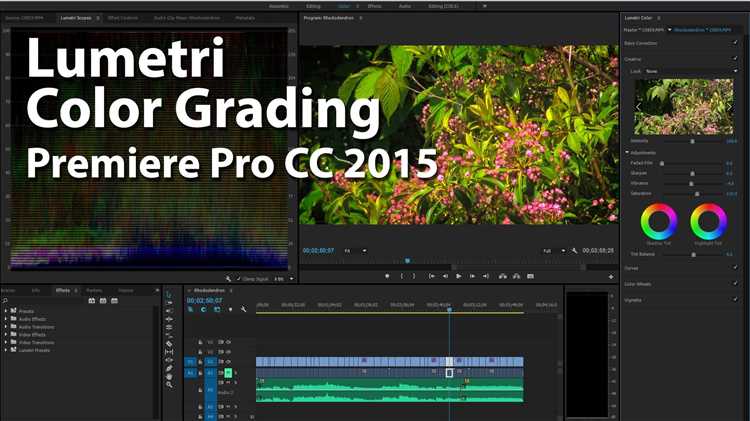 How to Color Grade In Premiere Pro