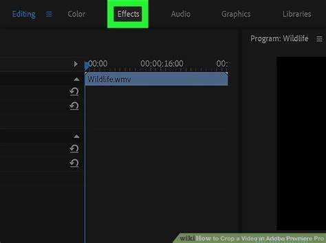 Adjusting the Crop Dimensions