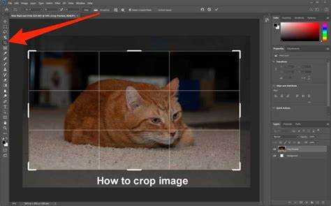 How to Crop Photos in Photoshop – Complete Guide