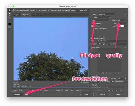 Export Transparent Background Video in Filmora: Step-by-Step Guide