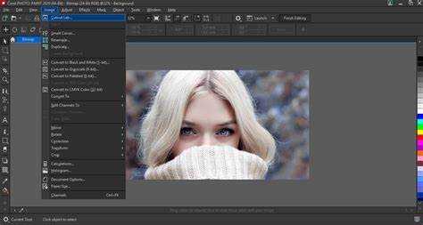How to Quickly Remove Image Background in CorelDraw