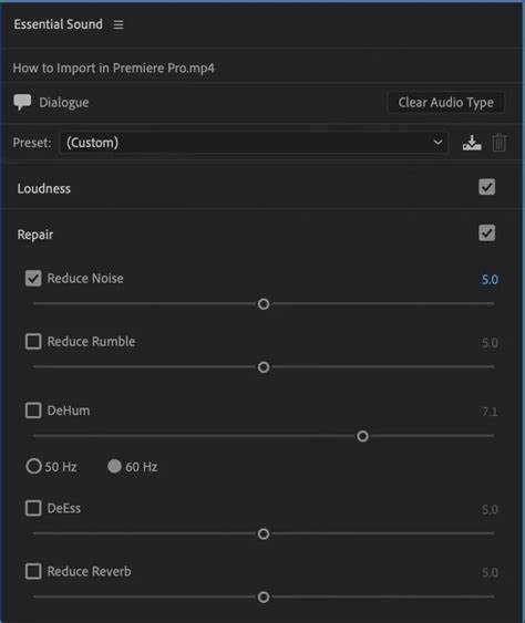 Adjusting ISO Settings in Premiere Pro