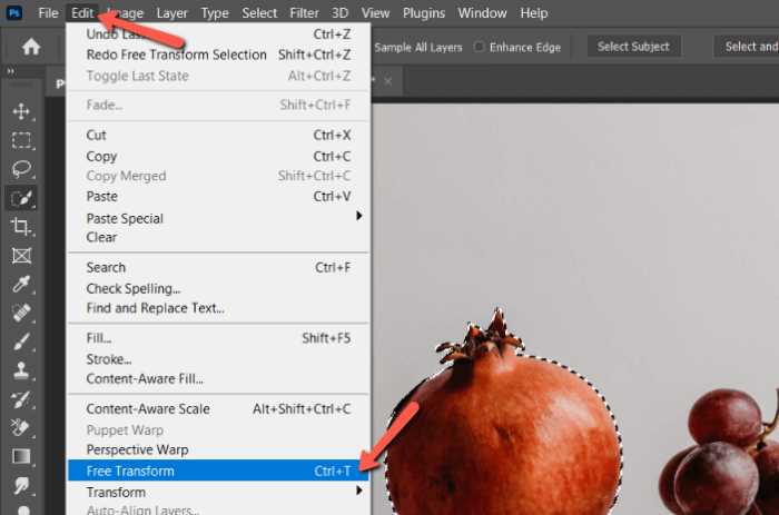 How to Resize a Selection in Photoshop with Transform Selection