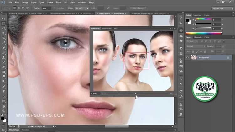 Using the Navigator Panel for Precise Image Adjustments