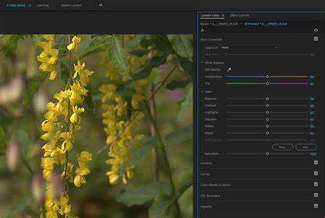 Advanced Color Correction Tools in Premiere Pro CC