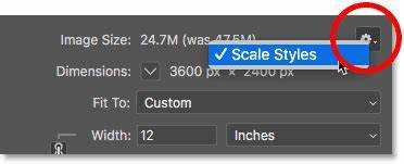 Common Mistakes to Avoid When Using Photoshop's Image Size Command