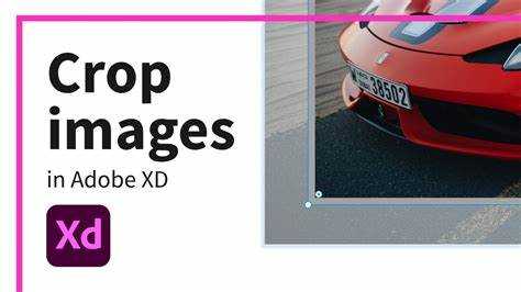 Steps You Should Follow To Make Adobe XD Crop Image Simple